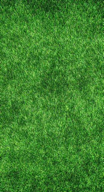 Grass Lawn Garden Free Photo On Pixabay Pixabay