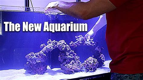 This channel focuses on every aspect of the aquarium hobby. New saltwater aquarium SET UP | The King of DIY - YouTube