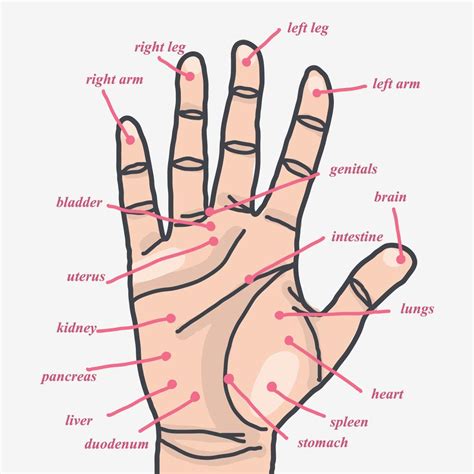 Acupuncture Points Hand Chart