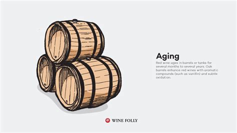 How Red Wine Is Made Step By Step Wine Folly