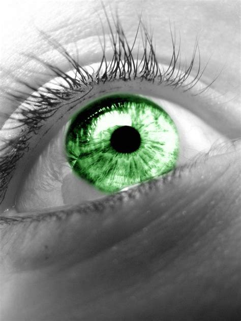 Green Eye By Blueberryblack On Deviantart Gorgeous Eyes Pretty Eyes
