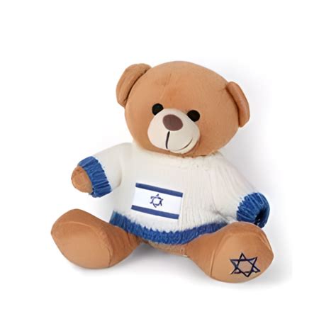 cute soft cuddly teddy bear i love israel