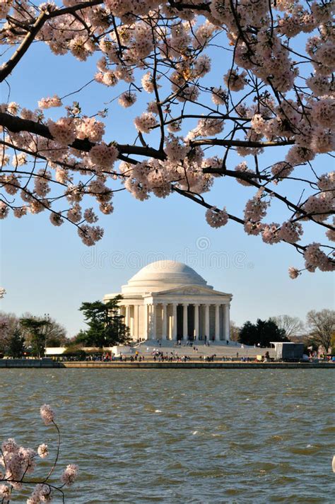 Jefferson Memorial During The Cherry Blossom Festival Stock Photo