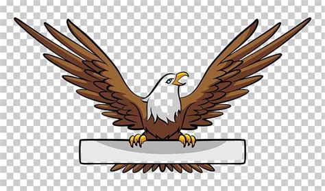 Bald Eagle Banner Illustration Png Free Download Bald Eagle
