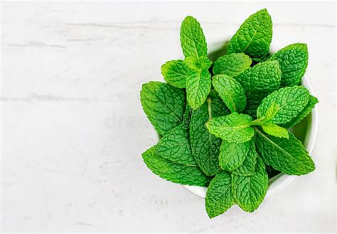 Peppermint Leaves On White Wooden Background Bunch Of Mint Spearmint