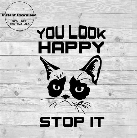 Funny Cat Svg Mad Cat Svg Cat Svg File Black Cat Svg Cute Etsy The Best Porn Website