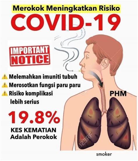 Jenis jangkitan paling utama di saluran pernafasan adalah penyakit pneumonia. "Paru-Paru Kanan Penuh Jangkitan.." Pesakit Covid-19 31 ...