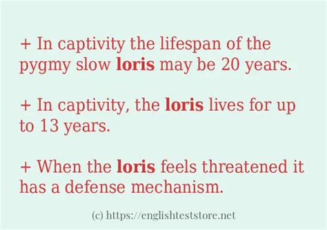Loris Example Sentences Englishteststore Blog