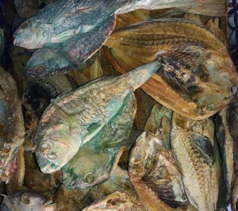 Ikan Asin Kakatua 1000 Gram Marketplace Pusat Jual Beli Ikan