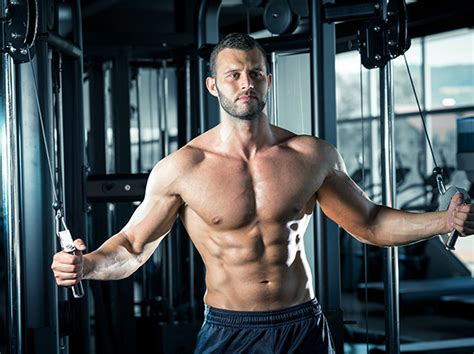 The circulatory system includes the heart, veins and arteries. The 256-rep chest-swelling workout - Men's Health