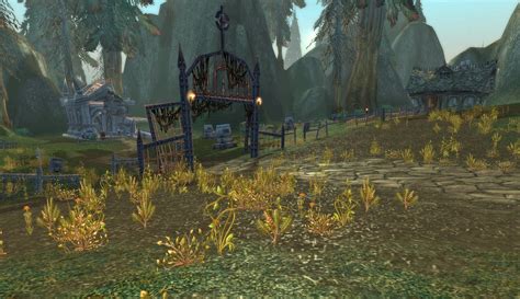 Silverpine Forest Zone Classic World Of Warcraft