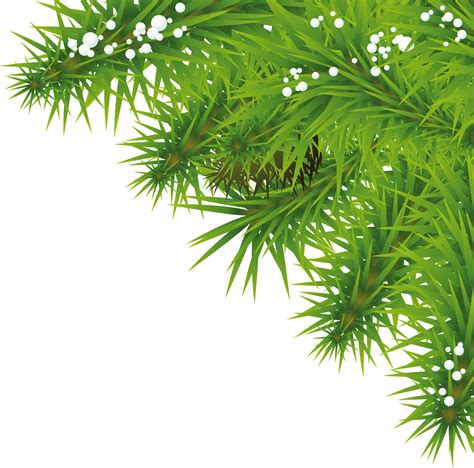 Use these free christmas tree png #2849 for your personal projects or designs. Fir Tree PNG Image - PurePNG | Free transparent CC0 PNG Image Library