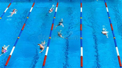 Swimmers Training Swimming Pool Overhead Stock Photo Image Of Markers