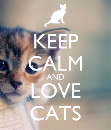 Keep Calm And Love Cats Keep Calm And Carry On Image