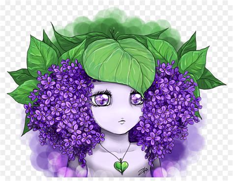 Bunga, Ungu, Lavender gambar png
