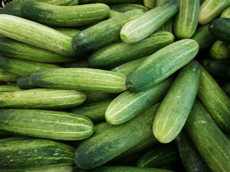 Cucumbers Pic Vegetable Growers News