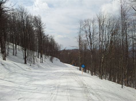 Skijanje U Srbiji Stara Planina Novi Stari Ski Centar Srbije