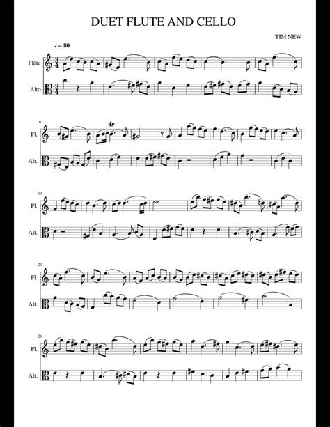 Duet Flute And Viola Sheet Music For Flute Viola Download Free In Pdf