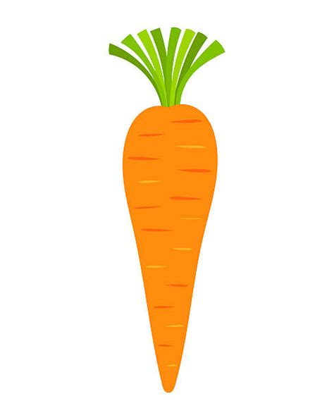 Carrots Illustrations Royalty Free Vector Graphics And Clip