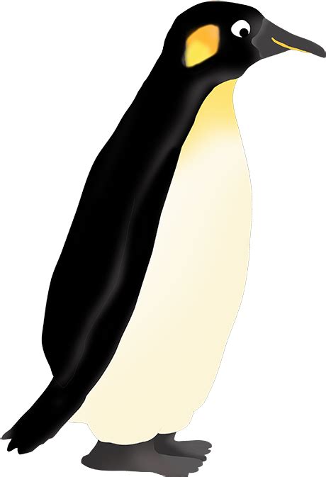 Penguin Clipart Emperor Penguin - Realistic Penguin Clip ...