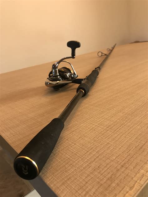 COMBO SPINNING FULL DAIWA STEEZ AGS LEGALIS