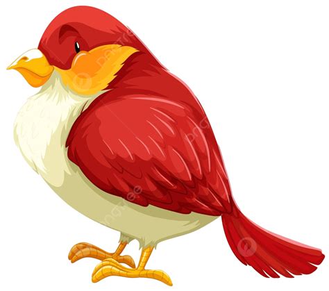 Red Bird Red Drawing Picture Vector Red Drawing Picture Png And