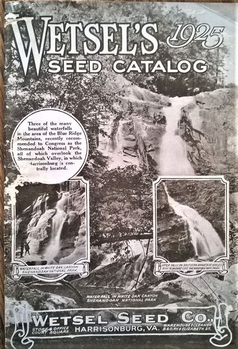 Maybe you would like to learn more about one of these? 1925 Wetsel Seed Company Catalog, Harrisonburg, VA in 2020 ...