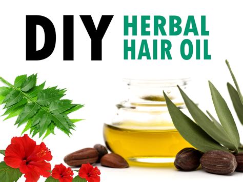 5 Diy Herbal Hair Oils That Nourishes Your Hair Beauty Makeup Hair