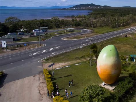Big Mango Attraction Queensland