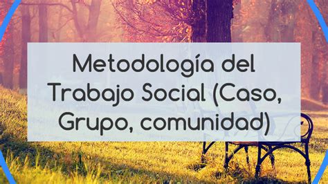 Metodologia Del Trabajo Social Caso Grupo Comunidad By Lizbeth