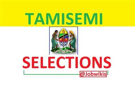 Tamisemigotz Form Five Selection 2022 Pdf In 2022 The Selection Research Skills Online