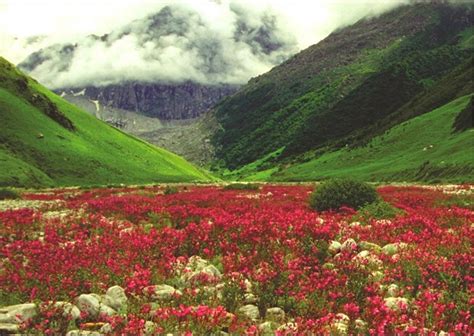 Unesco World Heritage Site Valley Of Flowers Opens On June 1 Travel