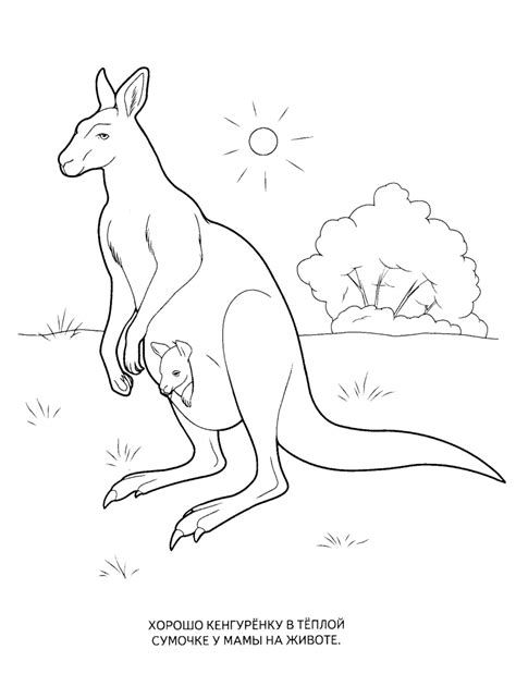Wild animals coloring pages for kids to print for free