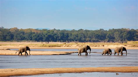 South Luangwa National Park Asai Africa Safaris