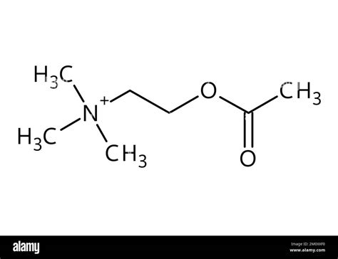 Structure Moléculaire De Lacétylcholine Lacétylcholine Est Un