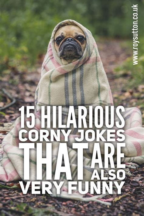 15 Hilarious Corny Jokes Guaranteed To Make You Smile Witty Jokes