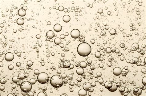 Why Bubbles Transform Our Meals Opinion Chemistry World