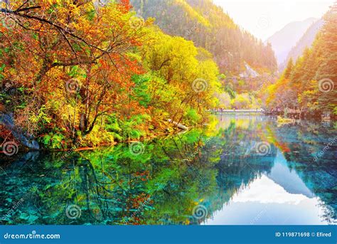 The Five Flower Lake Autumn Woods Reflected In Water Stock Photo