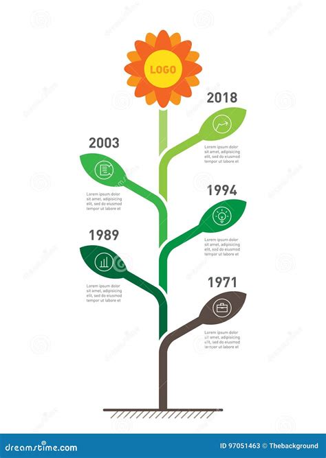 Vertikal Timeline Infographics Utvecklingen Och Tillväxten Av Th Vektor