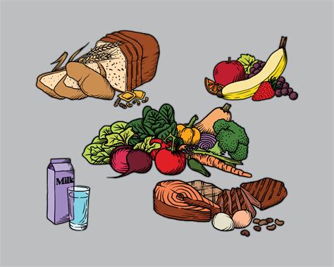 Health And Nutrition Illustrations Behance