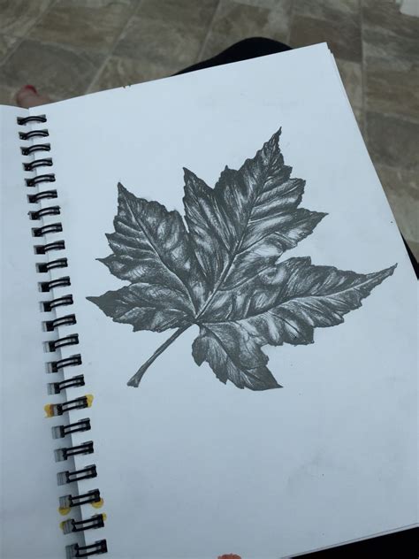 A Drawing Of A Leaf On A Notebook