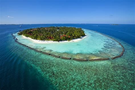Hotels In Maldives Cheap And Luxury Hotel In Maldives