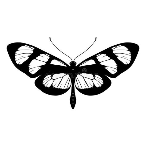 Isolated Silhouette Of A Butterfly Stock Vector Illustration Of