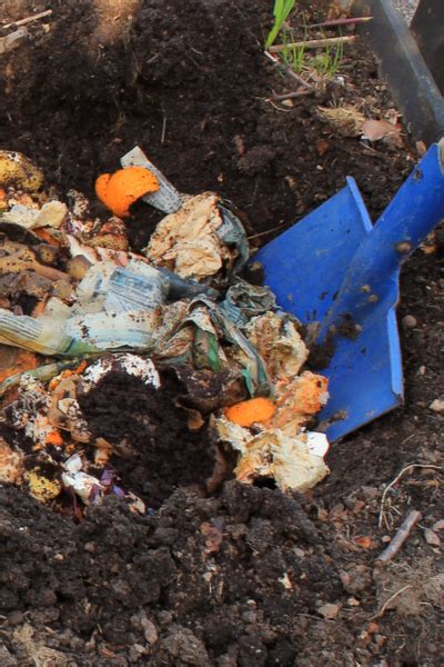 How To Trench Compost A Simple Way To Compost Without A Pile