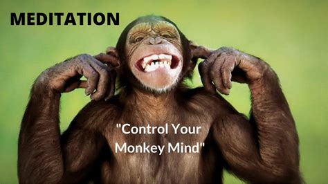 Meditation Monkey Mind Gritheart 128 Youtube
