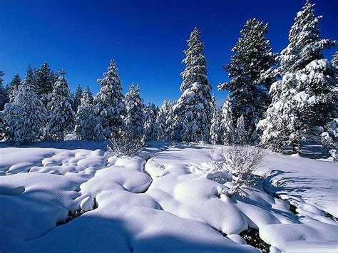 Free Download Winter Backgrounds Desktop Hd Wallpapers Pictures To