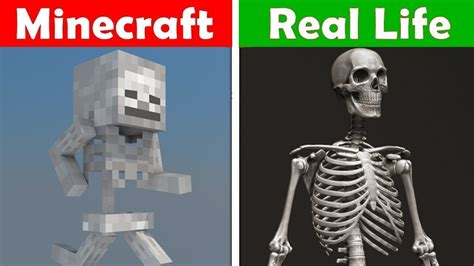 Check spelling or type a new query. MINECRAFT SKELETON IN REAL LIFE! Minecraft vs Real Life ...