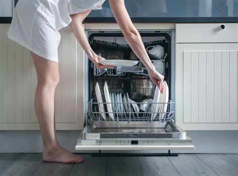 Five Signs Your Dishwasher Is Clogged Woodbridge Plumbing Blog