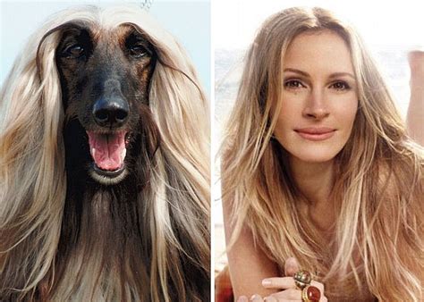 20 Animals That Look Just Like Famous People Page 7