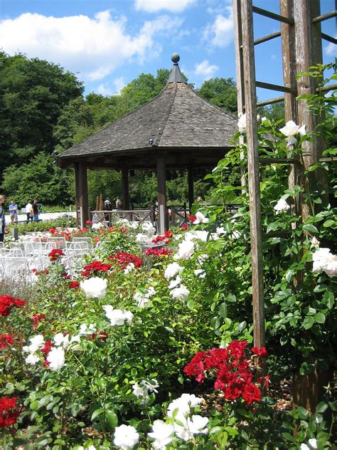 Der botanische garten augsburg entstand an der heutigen stelle im jahr 1936 auf einem damals 1,7 hektar großen gelände, das inzwischen auf rund 10 hektar angewachsen ist. Botanischer Garten Augsburg Programm Luxus Datei Augsburg ...